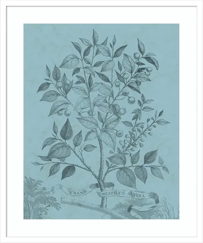 Vista 17 de Amanti Art Vision Studio - Póster enmarcado de 24 x 20 pulgadas, diseño botánico en V verde azulado por Vision Studio, arte de pared de naturaleza