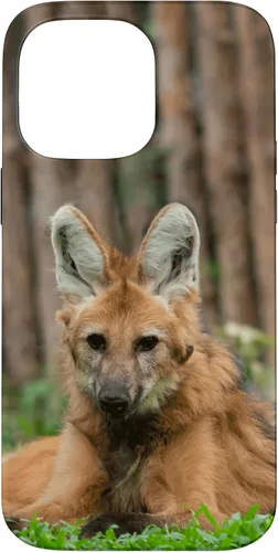 Vista 21 de Funda para iPhone 13 Pro Max Maned Wolf