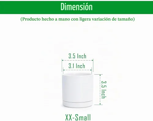 Vista 2 de D'vine Dev Paquete de 2 macetas de cerámica con platillos, color blanco