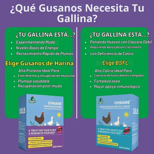 Vista 4 de 2LB Dried Mealworms for Chickens - 52% Protein for Growth