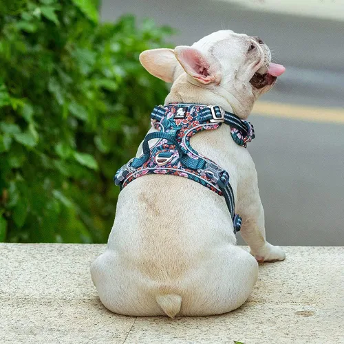 Vista 7 de Arnés reflectante sin tirones para perro, con asa y clip frontal, arnés acolchado de neopreno para cachorros, perros pequeños, medianos y grandes, 3