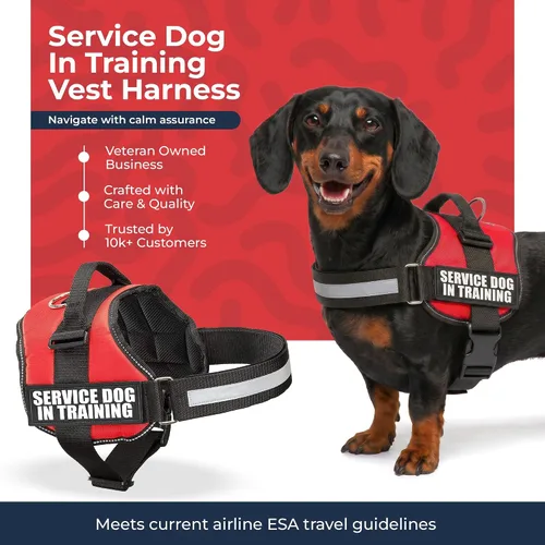 Vista 4 de Arnés de chaleco de entrenamiento para perro de servicio, XXXS 11.5-13 pulgadas, rojo Chaleco duradero y ajustable para perro con correas