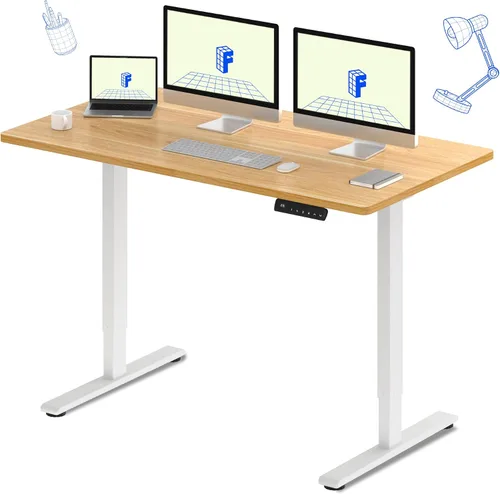 Vista 17 de FLEXISPOT Escritorio eléctrico de pie E3 con motor doble, 48 x 24