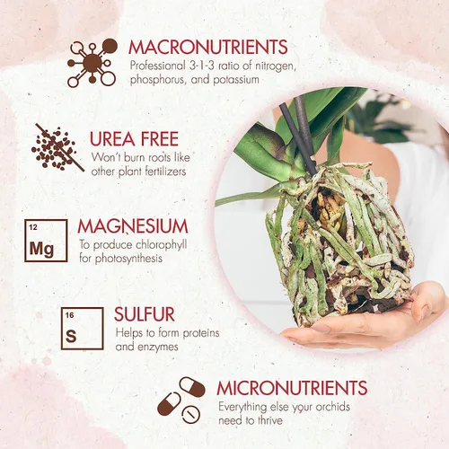 Vista 3 de Alimento para plantas de orquídeas (5 oz, más de 50 aplicaciones) – Gránulos de fertilizante estimulante de floración para orquídeas en macetas