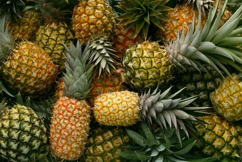 Vista 5 de Food to Live Anillos de piña seca orgánica, 2 libras sin OMG, sabroso aperitivo de fruta masticable, vegano, sin sulfatos, sin azúcar añadido, a
