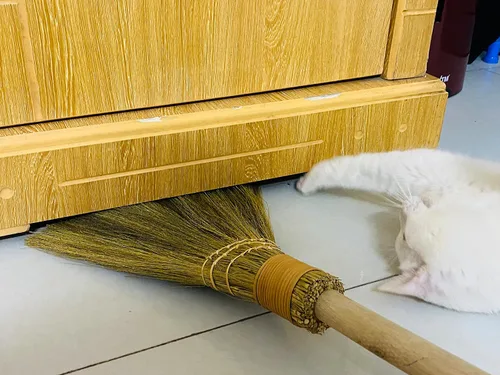 Vista 7 de Escoba barredora hecha a mano – Escoba de paja suave vietnamita para limpieza – Decorativa 9.45 pulgadas de ancho, 52.37 pulgadas de largo