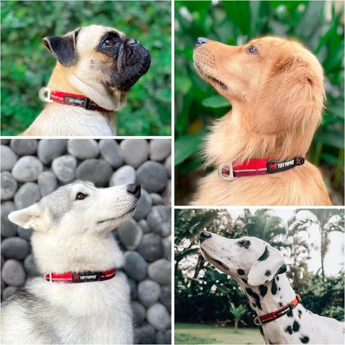 Vista 3 de Tuff Pupper Collar de perro resistente Collar resistente para perros Collares reflectantes con clip de correa de aluminio en D Accesorio