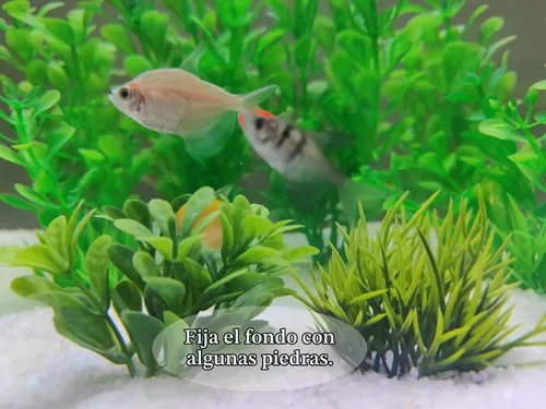 Vista 5 de AQUANEAT Plantas artificiales para peceras, decoraciones de acuario de plástico, accesorios verdes, 10