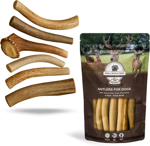 Vista 19 de WhiteTail Naturals - Cuernos de ciervo para perros pequeños (paquete de 12) cuernos masticables naturales para cachorros y pequeños masticadores