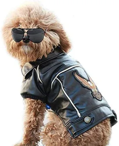 Vista 6 de Chaqueta de cuero para perros, lindas chaquetas de cuero para perros, ropa de motocicleta con botones, abrigo de invierno impermeable para perros