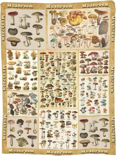 Vista 12 de Manta de franela de aguacates, manta de forro polar, suave y mullida para sofá, dormitorio, sofá, 50 x 40 pulgadas