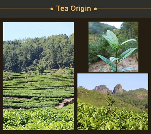 Vista 9 de Luxtea Chinese, 10 tés más famosos, grado AA (alto grado).