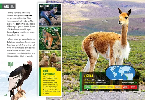 Vista 2 de Bolivia (Country Profiles)