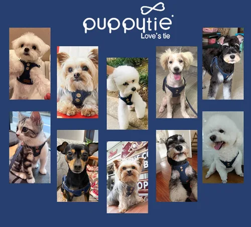 Vista 5 de Arnés sin tirones para perro, con correa multifunción, pechera suave y ajustable para mascota, no ahorca, chaleco a prueba de escape, azul vaquero