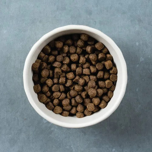 Vista 13 de Evolve Pet Food Classics Receta de carne deshuesada, cebada y bisonte, 3.5 libras