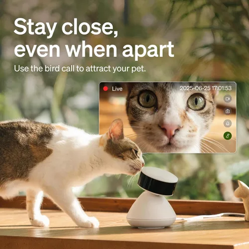 Vista 7 de PETLIBRO Paquete de 2 cámaras AI para mascotas, incluye prueba de IA de 90 días, cámara interior para mascotas con seguimiento automático de 360°