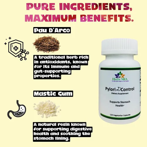 Vista 4 de Pylori Control Suplemento de apoyo digestivo con goma de masilla y PAU D'Arco - Apoya la salud del estómago y el bienestar digestivo - 120 cápsulas