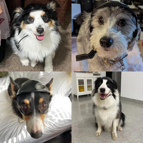 Vista 3 de LESYPET Casco para perros extra pequeños, casco de motocicleta ajustable para perros con diseño de agujero para las orejas, ideal para montar al