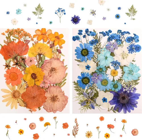Vista 6 de 182 PCS Real Pressed Dried Flowers and Leaves for DIY Crafts Multicolor2