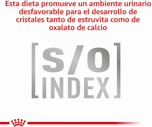 Vista 11 de Royal Canin Veterinary Diet Canine Urinary SO Alimento seco para perros adultos, bolsa de 6.6 libras