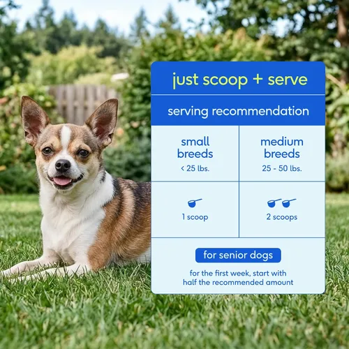 Vista 7 de Native Pet Vitaminas y suplementos diarios para perros mayores – Polvo multivitamínico 12 en 1 para perros mayores – Apoya la movilidad