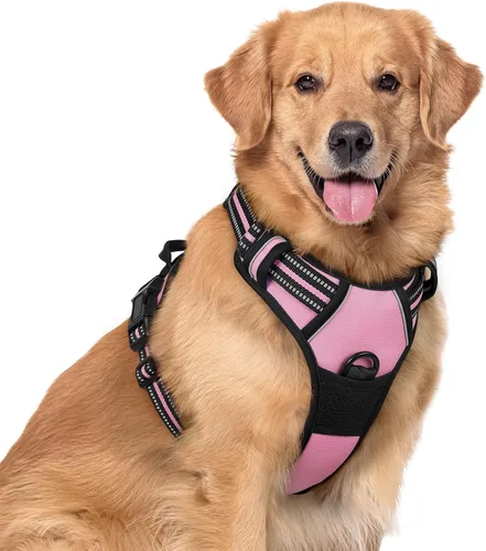 Vista 108 de Rabbitgoo - Arnés para perros sin tirón con 2 clips de correa, chaleco Oxford reflectante acolchado suave ajustable sin estrangulamiento