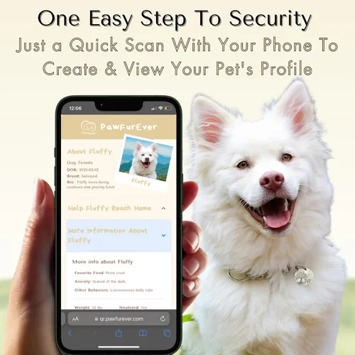 Vista 2 de PawFurEver Placa para perro con código QR – Etiquetas de identificación personalizadas para perros, etiqueta de perro grabada y etiqueta para Oro