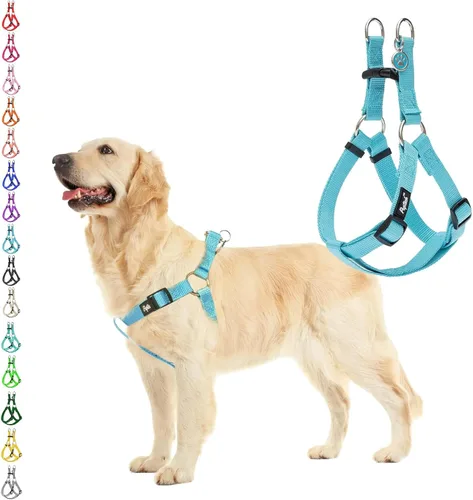 Vista 16 de Pupteck - Arnés para perros sin jalar, suave, ajustable, de nailon, talla básica, chaleco para cachorro, para caminar al aire libre con etiqueta