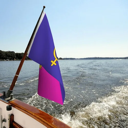 Vista 8 de Bandera de orgullo heterosexual heterosexual de 3 x 5 pies, decoración de doble cara para exteriores