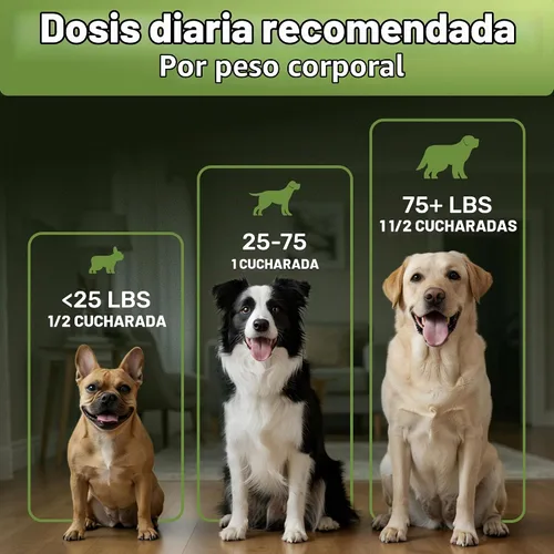 Vista 7 de WuffWell - Polvo dental probiótico para dientes de perros, fabricado en Allergy Itch