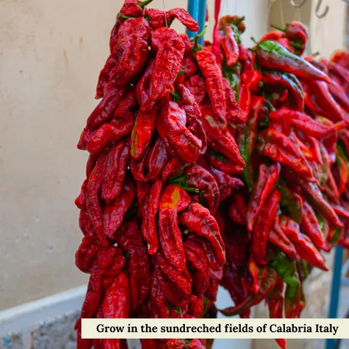 Vista 5 de L'Oro Del Sud - Copos de chile calabrés seco, pimiento picante triturado, 2.11 onzas
