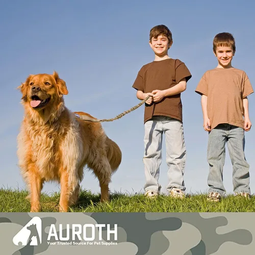 Vista 6 de AUROTH Correa elástica resistente para perros de razas grandes, sin tirones para absorción de golpes con cinturón de seguridad del automóvil, 2 asas