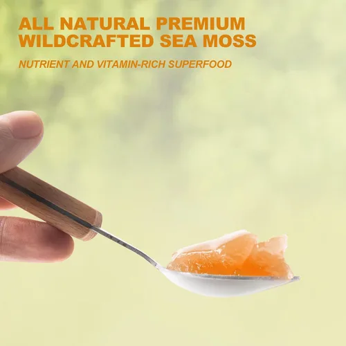 Vista 4 de Gel de Musgo Marino (28OZ), Gel de Seamoss Irlandés Crudo Vegano, Suplementos de Vitaminas y Minerales para el Sistema Inmune y Digestivo, Manzana