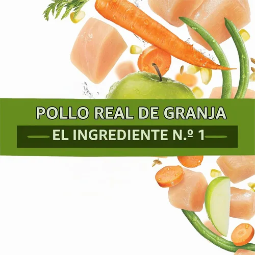 Vista 8 de Comida para perro saludable con verdadero pollo de Purina Beneful