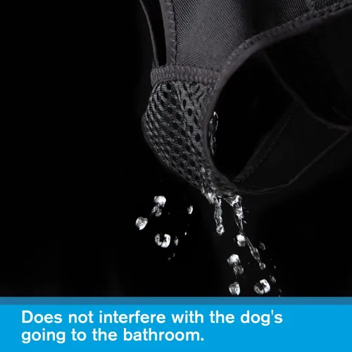 Vista 4 de Bragas para perros en celo, pantalones reutilizables para evitar que se cruzen. Ropa interior lavable para proteger a las perras de perros machos