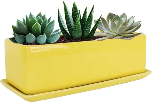 Vista 8 de Vencer Maceta rectangular moderna minimalista de cerámica para suculentas de 12 pulgadas, caja con ventana con platillo, soporte de escritorio