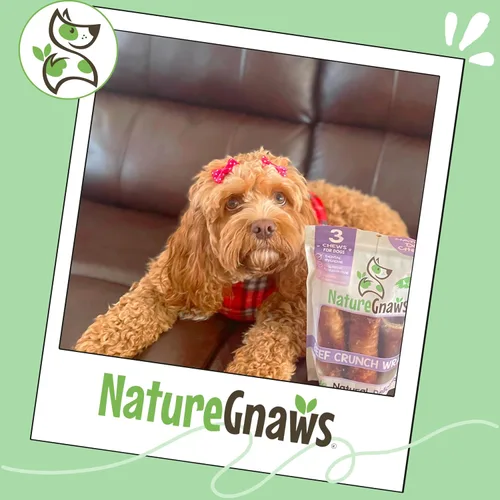 Vista 6 de Nature Gnaws Masticables crujientes para perros, tráquea y golleta, 3