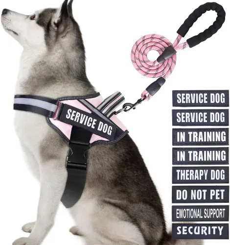 Vista 11 de Juego de Chaleco y Correa para Perro de Servicio, Arnés de Entrenamiento Animire para Perro con 10 Parches para Perros, Correa Reflectante