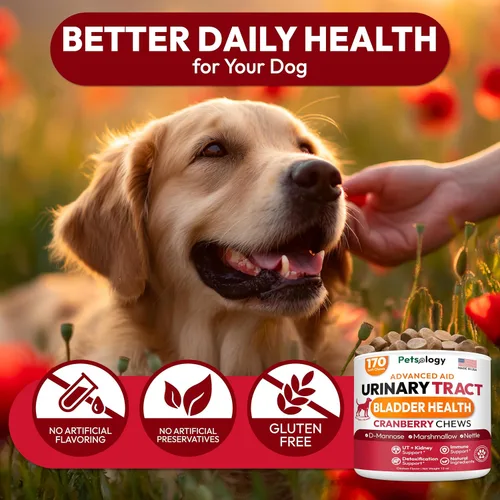 Vista 6 de Tratamiento de infecciones urinarias para perros, 170 masticables de arándano para perros, infección del tracto urinario, salud de la vejiga