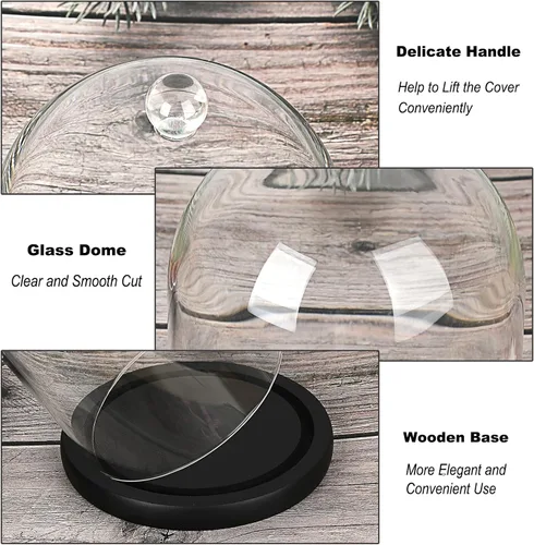 Vista 4 de JUXYES Cúpula de cristal con base de madera, cúpula de cristal transparente, cúpula de cristal transparente, tarro esférico, kit de globos de nieve