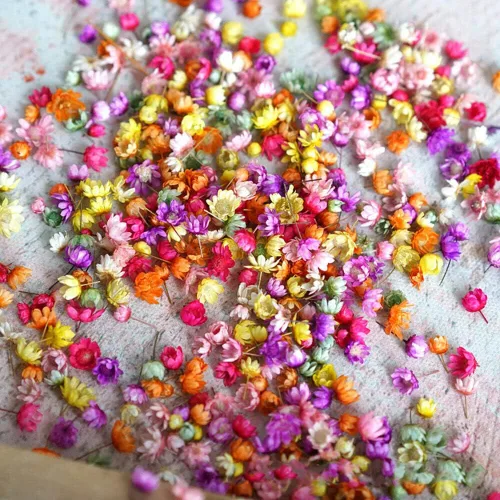Vista 9 de 710pcs DIY flores secas dispersas aromaterapia vela colgante de resina epoxi