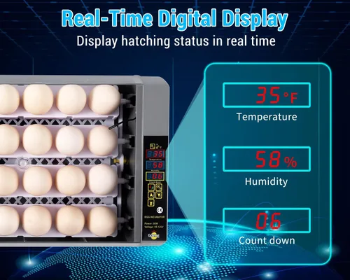 Vista 7 de Gpeng Incubadora de huevos, incubadora de 24 huevos con pantalla digital, giro automático de huevos, control automático de temperatura, para incubar