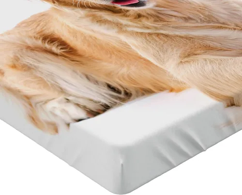 Vista 3 de Ambesonne Golden Retriever 2 Pack Fitted Sheet, Young Puppy, Bed Cover All-Round Elastic Deep Pockets 2 Pieces, Package Contains 2 Full Size Fitted