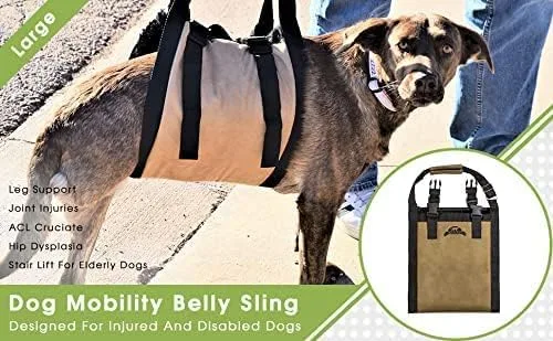 Vista 9 de Arnés de elevación para perros – Arnés de apoyo para perros – Elevador de escaleras para perros – Elevador de coche para perros discapacitados