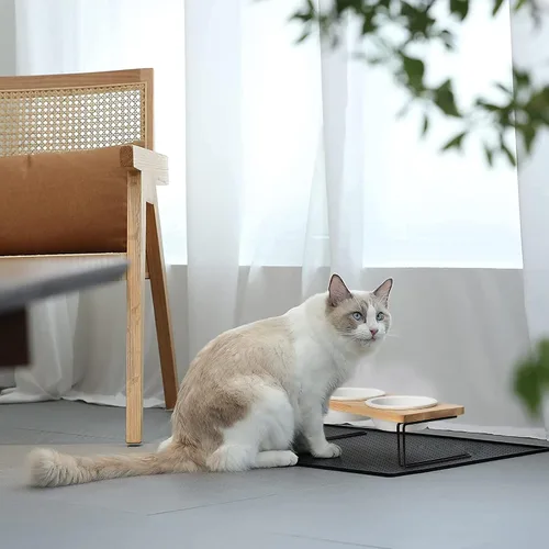 Vista 6 de FUKUMARU - Cuencos de cerámica elevados para gatos, cuencos con una inclinación de 15º para agua y comida en soporte de madera, juego para gatos