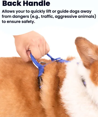 Vista 5 de Arnés para perro no restrictivo, fácil libertad de caminar, arnés sin tirones, mantiene el equilibrio, hebilla de cuello, ajuste de seis puntos, 2
