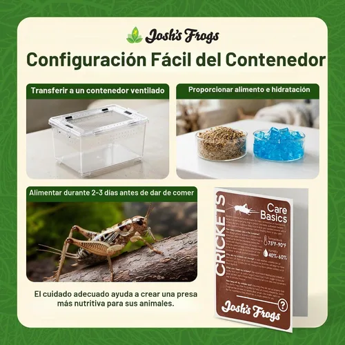 Vista 8 de Josh's Frogs Grillos con bandas de 3/4" (60 unidades)