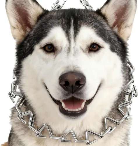 Vista 7 de Collar de entrenamiento para perros con puntas curvadas con anillo giratorio ajustable