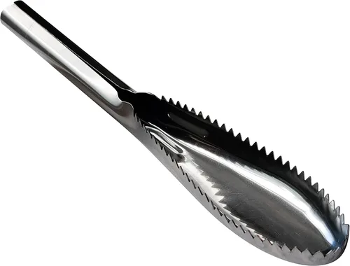 Vista 2 de Desincrustador de pescado, desincrustador de peces de acero inoxidable 304, herramienta descalcificadora de peces de dientes de sierra para cocina