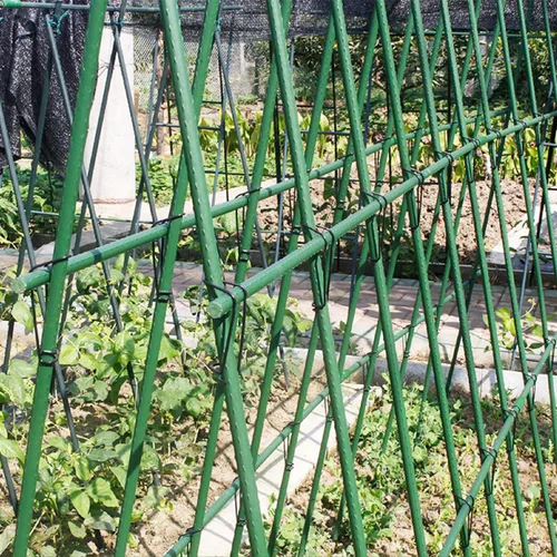 Vista 4 de Estacas de jardín de 60 pulgadas / 5 pies, 50 estacas para plantas, recubierto de plástico y tubo de acero, varillas de tomate resistentes